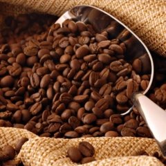 Arabica Coffee Beans