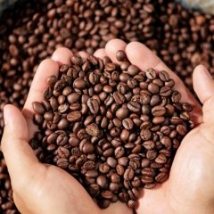 Roasted Coffee Beans