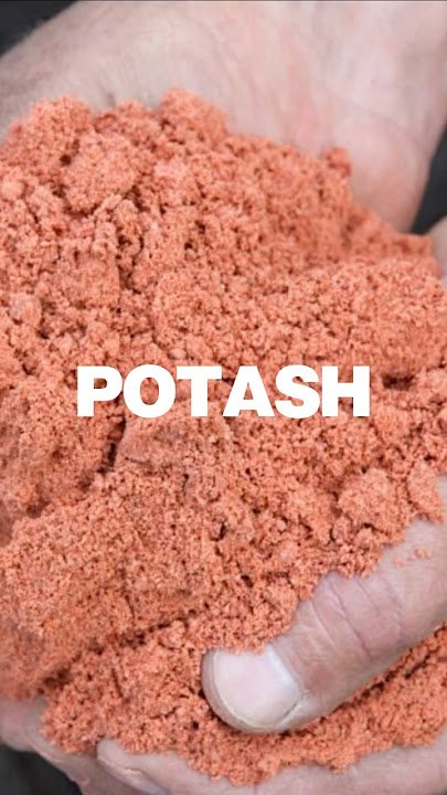 Potash Fertilizer