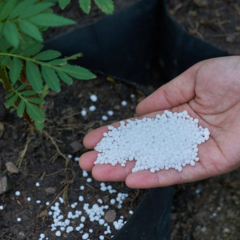 Urea Fertilizer
