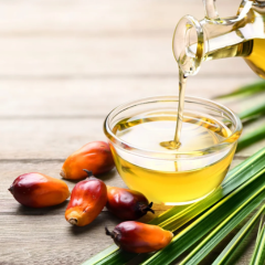 Palm Oil