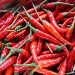 Red chilli