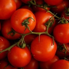 Tomato