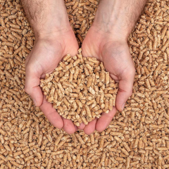 Wood Pellets